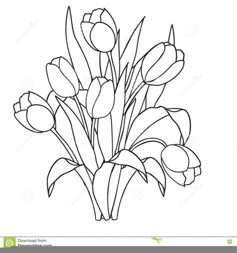 Black And White Clip Art Tulips royalty.